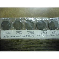 5 INDIAN HEAD CENTS  AS SHOWN