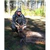 Image 1 : Archery Whitetail Hunt in VA