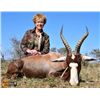 Image 1 : South African Plains Game Hunt w/Trophy Credit