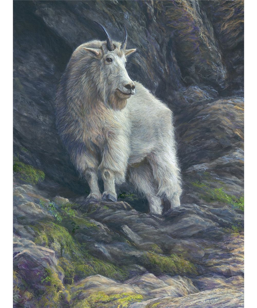 Mountain Goat Print - Laura Mark-Finberg