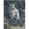 Image 1 : Mountain Goat Print - Laura Mark-Finberg