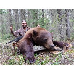Manitoba Black Bear Hunt