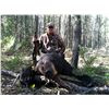 Image 4 : Manitoba Black Bear Hunt