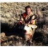Image 3 : Mule Deer Hunt in Wyoming for 2