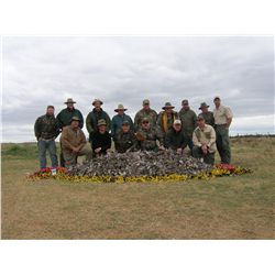 5 Man Argentina Dove Hunt