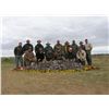 Image 1 : 5 Man Argentina Dove Hunt
