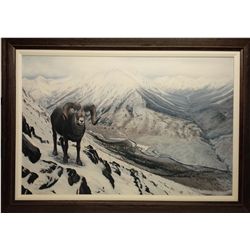 "Sheep on Alert" framed canvas print