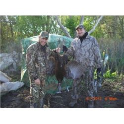 Eastern or Rio Turkey Hunt in Kansas