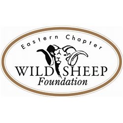 Advertising Package for Eastern Chapter WSF Newsletter