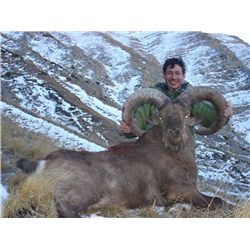 Dagestan Tur Hunt