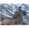Image 1 : Dagestan Tur Hunt