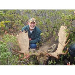 Newfoundland Moose Hunt