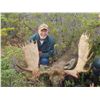 Image 1 : Newfoundland Moose Hunt