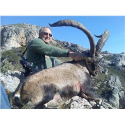 3 Day Free Range Iberian Mouflon in Spain
