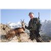 Image 3 : 3 Day Free Range Iberian Mouflon in Spain