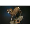 Image 1 : Life Size NA Sheep Mount with Base & Habitat