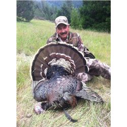 Rio Grande Turkey & Black Bear Combo in Oregon