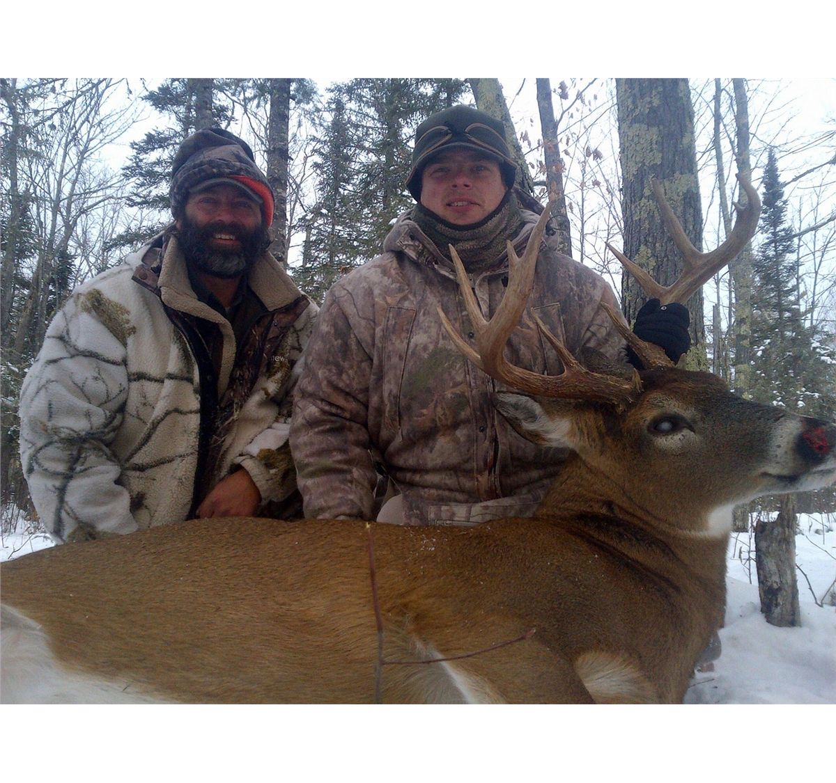 Wi Whitetail Rut Wisconsin Rut Archery Whitetail Hunt