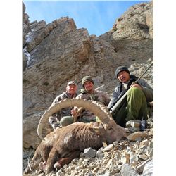 Mid-Asian Ibex Hunt