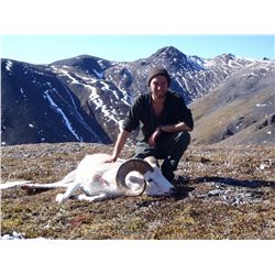 Dall Sheep Hunt in Alaska