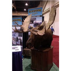 Alaska Yukon Moose Hunt