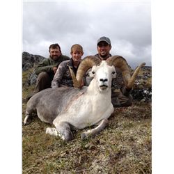 Stone Sheep Hunt in the Yukon
