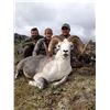 Image 1 : Stone Sheep Hunt in the Yukon