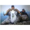 Image 3 : Stone Sheep Hunt in the Yukon