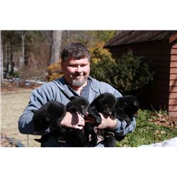 3 Days with Wild Bears and Shooting School for 2