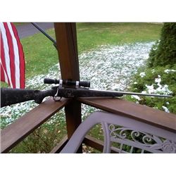 Clymer's Sheep Hunter Series Rifle