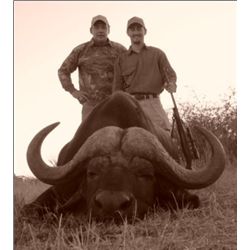 South African Cape Buffalo Hunt