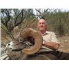 Image 1 : Desert Bighorn Sheep Hunt in Mexico