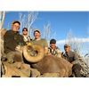 Image 2 : Wyoming Governor's Bighorn Permit