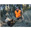 Image 2 : 7 Day Eastern Montana Archery Elk Hunt