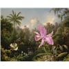 Image 1 : Property from the Thyssen-Bornemisza Collection MARTIN JOHNSON HEADE (1819-1904) v Orchid and...