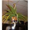 Image 1 : HANGING ARTIFICIAL FERN PLANT