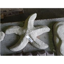 CONCRETE - STAR FISH
