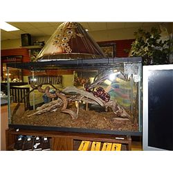 LARGE AQUARIUM - REPTILE TANK WITH ACCESSORIES