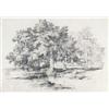 Image 1 : ALEXANDRE CALAME (1810-1864) M BOUQUET DE CHÊNES ET PETIT ÉTANG Bleistift auf Papier 30 x 42 cm E...