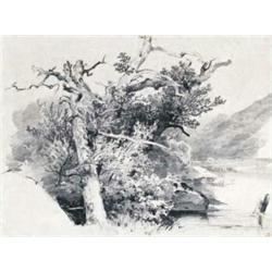 ALEXANDRE CALAME (1810-1864) M GRANDS ARBRES AU BORD DE L'EAU Bleistift auf Papier Unten rechts S...