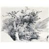 Image 1 : ALEXANDRE CALAME (1810-1864) M GRANDS ARBRES AU BORD DE L'EAU Bleistift auf Papier Unten rechts S...