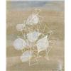 Image 1 : LEO LEUPPI (1893-1972) M WINTER Aquarell auf Papier Unten rechts signiert und datiert '39 31,5 x ...