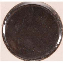 1806 HALF CENT AG (C-1, R-1) (SMALL-6, NO STEMS)