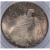 Image 3 : 1923 PEACE DOLLAR PCGS MS-63