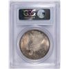 Image 4 : 1923 PEACE DOLLAR PCGS MS-63