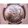 Image 1 : 1921 Morgan Dollar Ch MS64 NGC