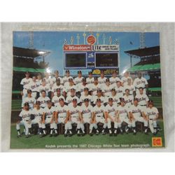 LOT 2 1983 ALL STAR GAME WHITE SOX TEAM PICTURE