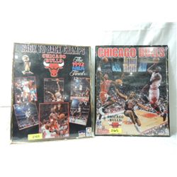 BACK TO BACK CHICAGO BULLS BASKETBALL CHAMP POSTER