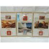Image 2 : LOT 3 NATIONAL PARKS COIN/STAMP COLLECTOR PAGES