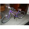 Image 1 : Stratus Pacific 5 Speed Bicycle